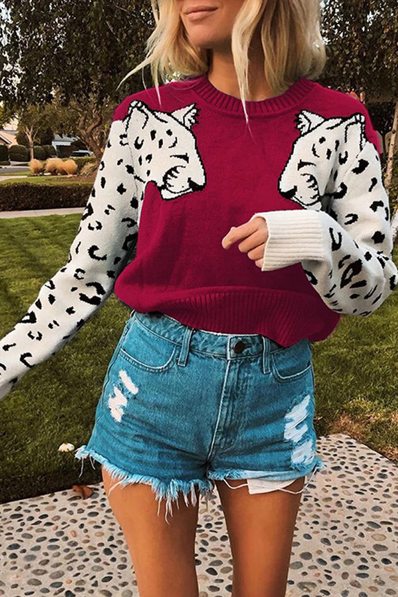 TS | KlCMsic and elegant winter top