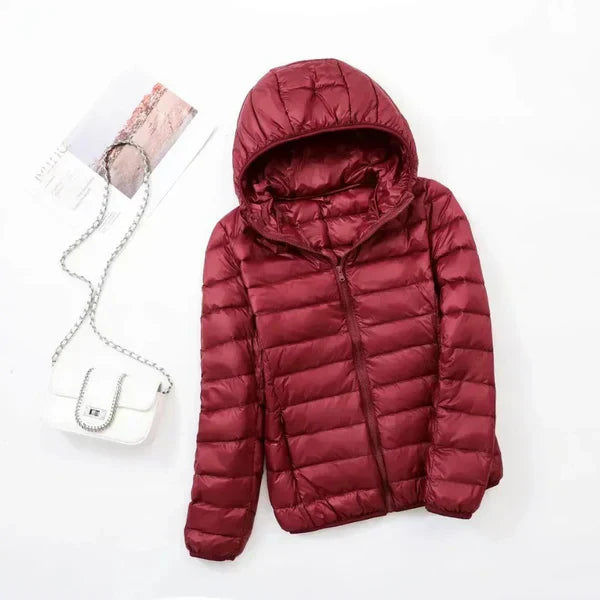 LD | Klassiek en comfortabel algemeen jack