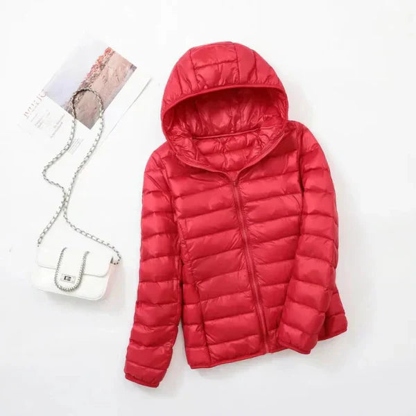 LD | Klassiek en comfortabel algemeen jack