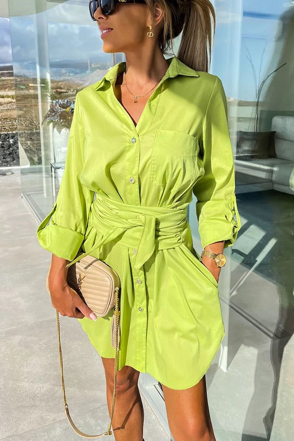 LM | Charming blouse dress
