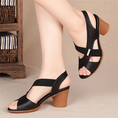 LD | Dames Hoge Hakken Schoenen
