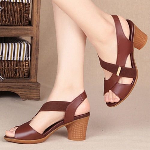 LD | Dames Hoge Hakken Schoenen