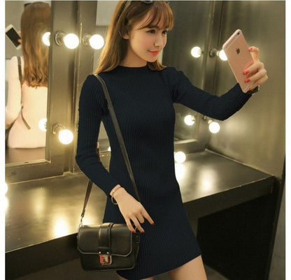 LM | Knitted mini dress with turtleneck