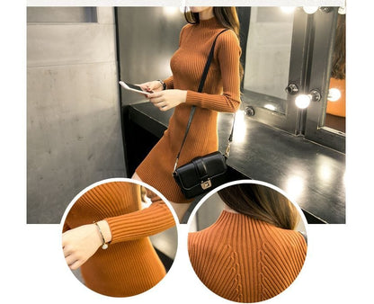 LM | Knitted mini dress with turtleneck